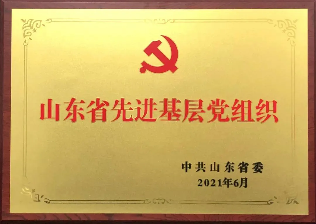 喜報|浩信集團(tuán)黨支部榮獲“山東省先進(jìn)基層黨組織”榮譽(yù)稱號
